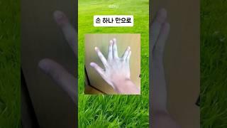 손으로 알 수 있는 성격 두뇌 테스트 퀴즈