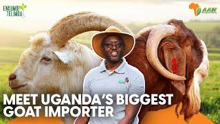 Meet Uganda's biggest Goat Importer | Sinza Goat Farm