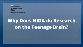 Why does NIDA do Research on the Teenage Brain?