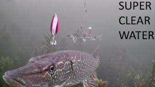 Ice Fishing Northern Pike with AquaVu HD7i Pro (Muskrat, Bass, Crappie, Pike)