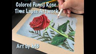 Rose in Colored Pencil Time Lapse