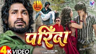 #Video - परिंदा | Ft. #Reyaj_Premi | Parinda | #Chand_Jee | #Ankita_Singh | New Sad Video Song 2024