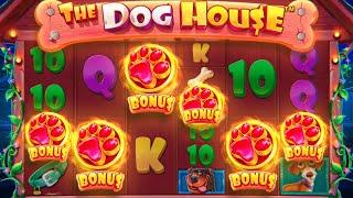 RARE 6 SCATTER BONUS ON DOG HOUSE MEGAWAYS!? (INSANE)