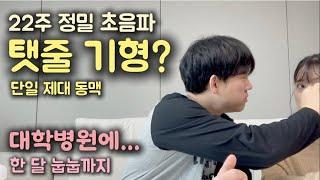 임산부 아내 관찰 일기 무서웠던 22주차 정밀 초음파 / 대학병원 / 한 달 눕눕 브이로그