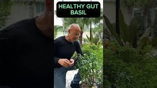 BASIL…The Miracle Digestive Herb!  Dr. Mandell