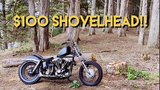 Blue Cabot's 1970 Harley- Davidson Shovelhead Dirt Bike