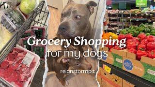 ASMR Grocery Shopping & Cooking For My Dogs