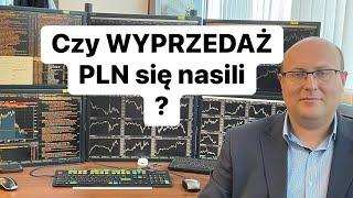 Czy WYPRZEDAŻ PLN Się Nasili?