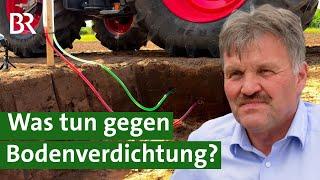 Schwere Maschinen, empfindlicher Boden: Wie kann man Böden vor Schäden schützen? | Unser Land | BR