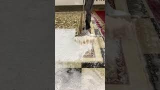 Satisfying Rancid Rug Cleaning  №4 | ASMR Carpet Cleaning