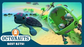 @Octonauts -  Rescuing the Baby Sea Turtles  | Season 4 | Best Bits!