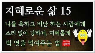 [지혜로운 삶 #15] - 나를 욕하고 비난하는 사람에게 소리 없이 강하게 지혜롭게 대처하는 법