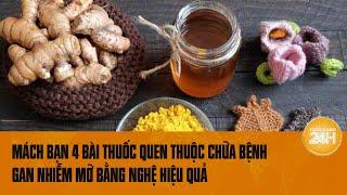 Mách bạn 4 bài thuốc chữa bệnh gan nhiễm mỡ bằng củ nghệ quen thuộc trong gian bếp nhà bạn