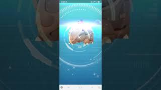 태국 치앙마이에서 색이다른 포켓몬 잡았다!! #태국 #치앙마이 #포켓몬고 #pokemongo #pokemon #색이다른 #색이다른포켓몬