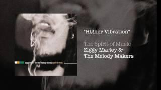 Higher Vibration - Ziggy Marley & The Melody Makers | The Spirit of Music (1999)