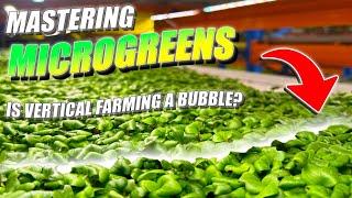 Is Vertical Farming A Bubble?