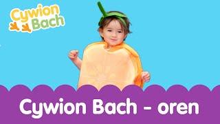 Cywion Bach - Oren  | Welsh Toddler - Learn First Welsh Words Orange 