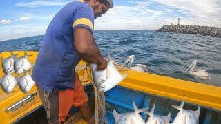 Amazing Net Fishing In Sea | Silver Pomfret Fish Catching And White Trevally Fish Catching In Sea