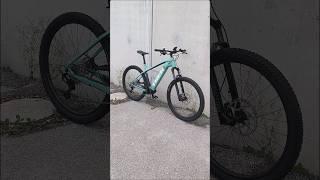 Trek Powerfly 5 Gen 4 625Wh Satin Blue Sage/Juniper  #trek #bike #hardtail #mtb #ebike #mhwbike