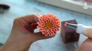Chrysanthemum bean paste