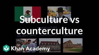 Subculture vs counterculture | Society and Culture | MCAT | Khan Academy