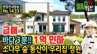 (급매) 1억원을 내린 바닷가 3분거리 어릴적 뛰놀던 소나무 동산 있는 충남 보령 전원주택 매매 고급 브랜드 주택 깔끔한 내외부와 추가 건축가능 보령부동산 - 발품부동산TV