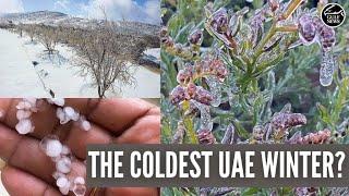 UAE Weather: Is this winter really the coldest one yet?