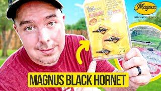 I Finally Tested the Magnus Black Hornet – Here’s What I Think!