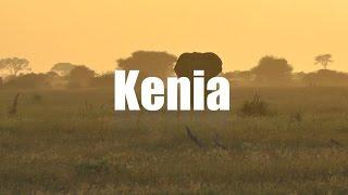 Kenia Safari