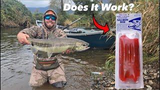 Can I catch a Salmon on STORE BOUGHT SALMON EGGS