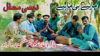 #DesiMehfil Hazara || Ya Qurban Tappe Mahiye || Hazara Songs