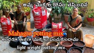 Mahagro Potting mix లోవిత్తనాలు నాటుకుందామా