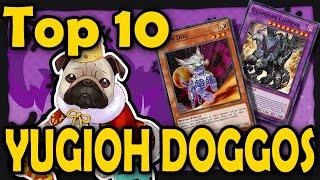 Top 10 Yu-Gi-Oh Dogs (only good boys & girls)