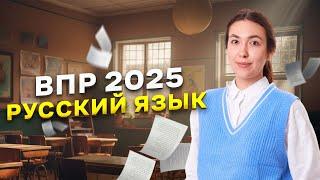 Что будет на ВПР по русскому языку в 7 классе?