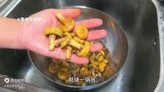 又到了一年一度吃紫花菌的季节了，今天做的紫花菌炒肉太好吃了！