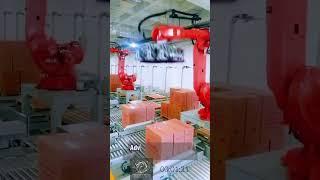 Industrial Robot Innovation: Advanced Technology in Automated Packaging!