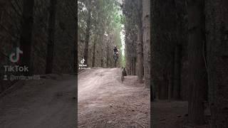 pines session today