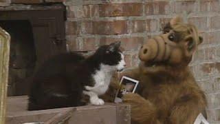 #alf LOOKING FOR LUCKY alf funny moments, alf eating cats