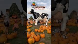 Why Bengtson’s Pumpkin Patch Is Our Favorite!