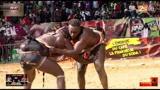 Bantamba: Dernier Face à Face Gris vs Zarko, Fils de Balla vs Diène Kaïré... | Mardi 07 Janv. 2025