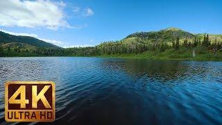 2 Hours Peaceful Lake Views in 4K | Sound of Gentle Lake Waves: Meta Lake at Mt. St. Helens