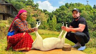 HUGE Mutton Curry In Nepali Village (40kg Goat)