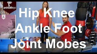 Hip Knee Ankle Foot Joint Mobes and Manip Dr. Vizniak Dr. Eckle