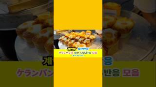 일본반응 | 계란빵(ケランパン)의 일본 SNS반응 모음#일본반응#해외반응#중국반응#외국인반응