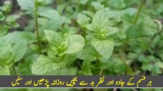 Kale Jadu Ka Tod | Most Viral Video 2024 | Surah As-Saafat Ki Tilawat