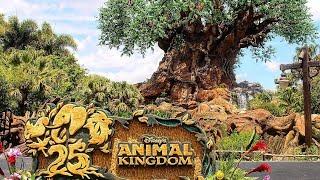 Disney's Animal Kingdom's 25th anniversary