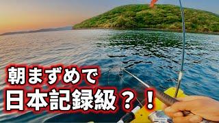 申請したら日本記録⁉︎ 本日も満足釣果で至福の二馬力ボート！