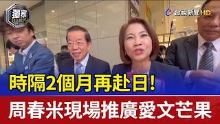 時隔2個月再赴日! 周春米現場推廣愛文芒果