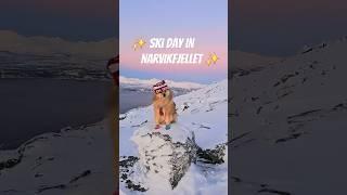 Ski day in Narvikfjellet  #skiing #hikingadventures #dogshiking #dogsskiing