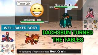 The Unexpected Dachsbun! (Pokemon Showdown Random Battles) (High Ladder)